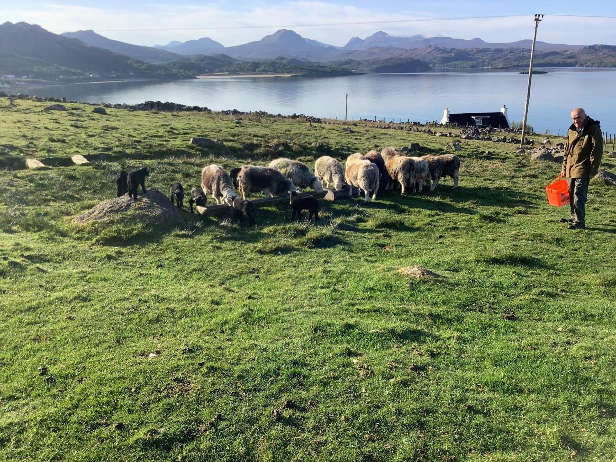 Macrae Croft- Rooms Gairloch Exteriör bild